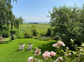 Traumblick Rebenmeer